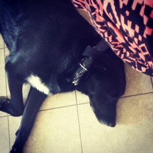 10364000_10152197340977865_1816379070506259122_n